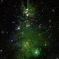 NGC 2264, “Christmas Tree Cluster” stars - Astronomia, un ammasso di stelle sembra un 