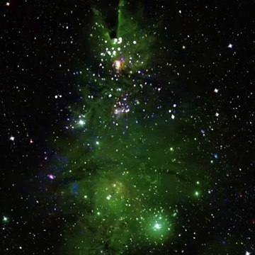 NGC 2264, “Christmas Tree Cluster” stars - Astronomia, un ammasso di stelle sembra un albero di Natale