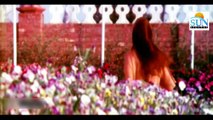 Zara Rok Rok Larki | Pakistani Song | Reema Khan & Babar Ali | Sun Digital Hd Channel