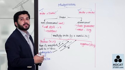 LEC#4 VECTOR MULTIPLICATION WITH SCALERS