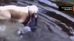 Video: tämä kalastava kultainennoutaja-koira tekee vaikutuksen