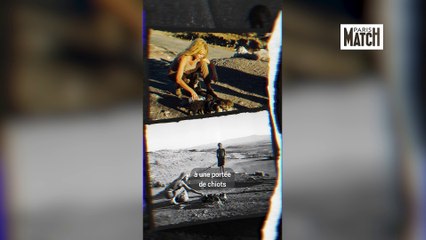 Brigitte Bardot : ses animaux les plus proches