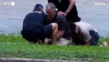 Inondazioni in Australia, coccodrillo catturato in un torrente