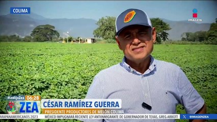 Productores de melón están en la incertidumbre por brote de Salmonella