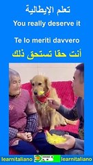 أنت حقا تستحق ذلك  تعلم الايطالية من خلال الفيديوهات القصيرة