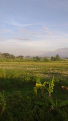 Beautiful view of Mount Lawu