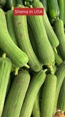 خضار صيني غريب 🤔