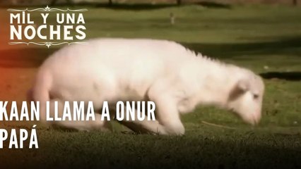 Kaan llama a Onur papá| Las Mil y Una Noches - Episodio 42