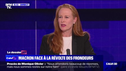 Loi immigration: Violette Spillebout (députée Renaissance du Nord) affirme recevoir des "menaces sur les réseaux sociaux"