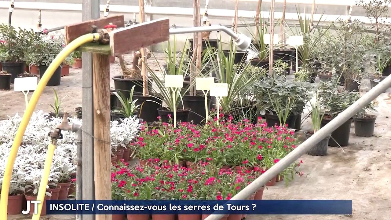 INSOLITE / Connaissez-vous les serres de Tours ?