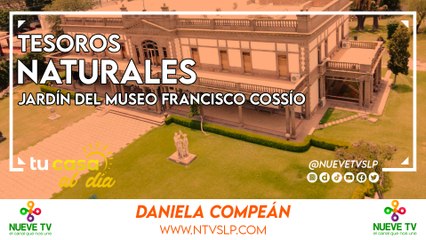 Secretos Naturales: Explorando el Jardín del Museo Francisco Cossío