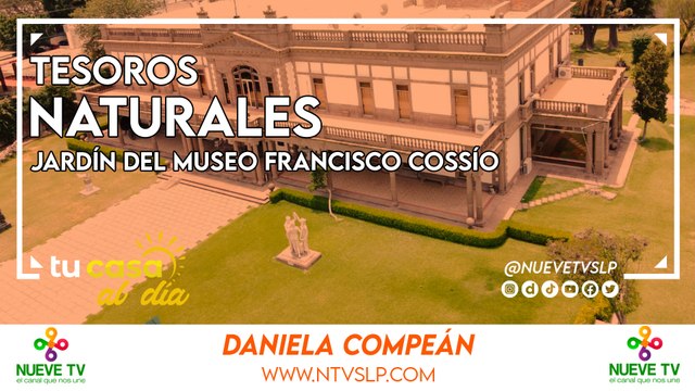 Secretos Naturales: Explorando el Jardín del Museo Francisco Cossío