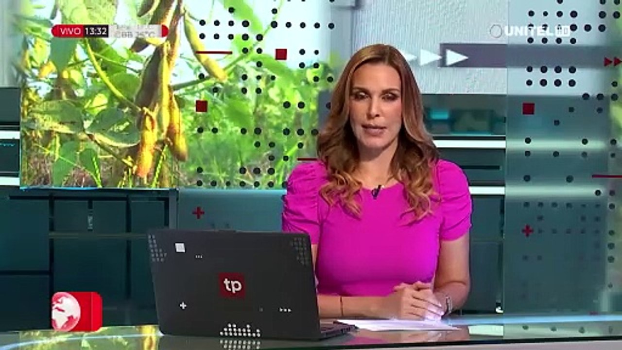 Siembra de soya y otros granos alcanzó 40% debido a la falta de lluvias, según Anapo