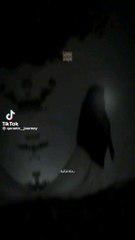 الشيخ سيد سعيد قرءان كريم