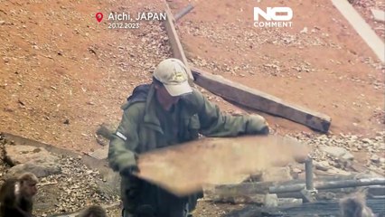 Ιαπωνία: Οι πίθηκοι φοβούνται τη φωτιά, εκτός αν κάνει κρύο