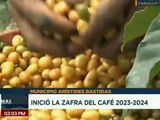 490 caficultores del edo. Yaracuy fueron beneficiados con atención técnica y entrega de insumos