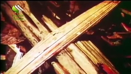 ارشيف الوثائقيات وثائقي غرائب من عالم الحيوان 2 -تعليق الاستاذ ماهر الآغا- rtm