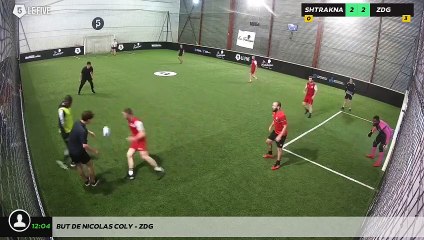But de Nicolas Coly - ZDG