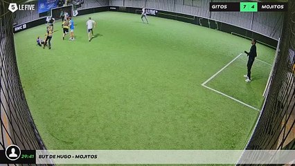 But de hugo - MOJITOS