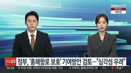 정부, '홍해항로 보호' 기여방안 검토…"심각성 우려"