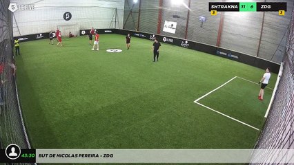 But de Nicolas Pereira - ZDG