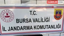 Bursa İl Jandarma Komutanlığı Tütün Kaçakçılarına Operasyon Düzenledi