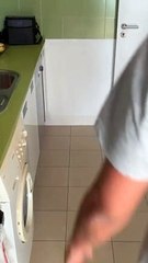 Man Tests His Dogs' Reactions