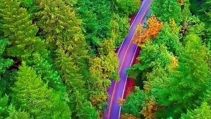 Embracing Destiny: A Journey of Patience and Purpose