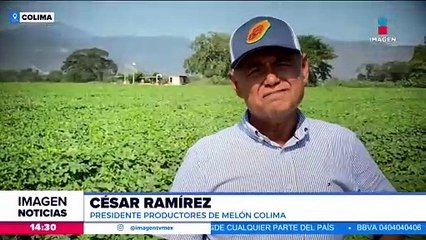Productores de melón se encuentran en alerta por brote de salmonela