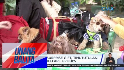 Pets bilang surprise gift, tinututulan ng animal welfare groups | UB