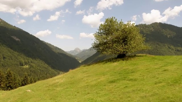 Frühling -16- Gute Väter, schlechte Väter