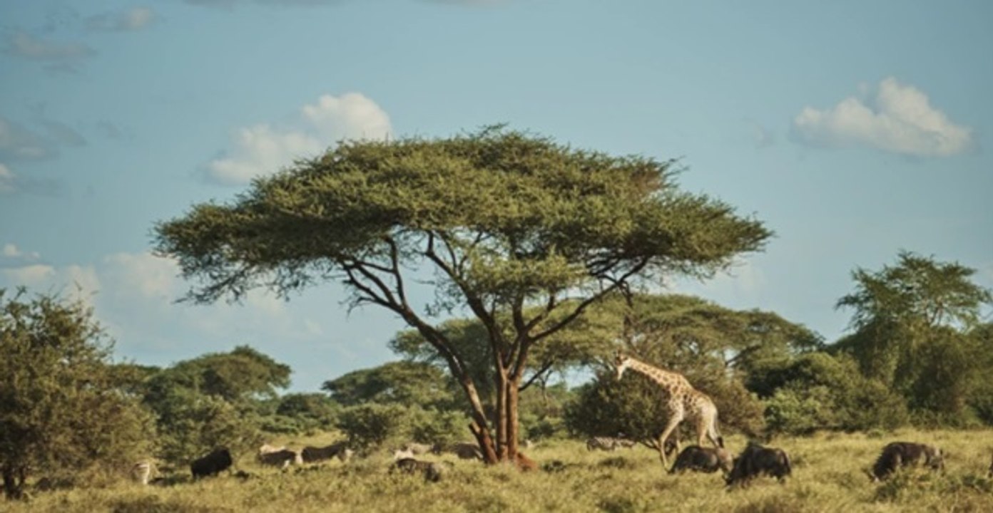 A Blind Man's Trip Will Change the Way You Think About Safaris - Travel Tales by AFAR