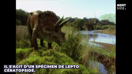 Une nouvelle espèce de dinosaure vient d’être identifiée au Canada