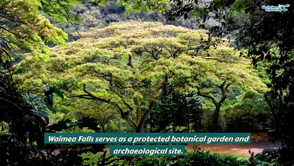North Shore Delights Enchanting Waimea Waterfall Tour