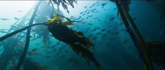 Les Gardiennes de la planète Bande-annonce (EN)