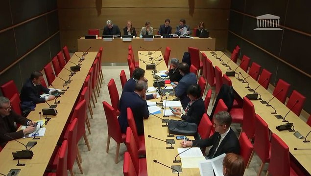 Délégation aux collectivités territoriales : Statut de l’élu local - Mercredi 20 décembre 2023