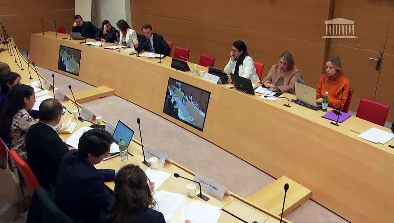 Délégation aux droits des enfants : Table ronde des représentants des avocats autour de la prise en charge des violences sur mineurs - Mercredi 20 décembre 2023