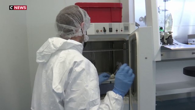 Santé : quand des selles humaines se transforment en médicaments pour traiter des maladies graves