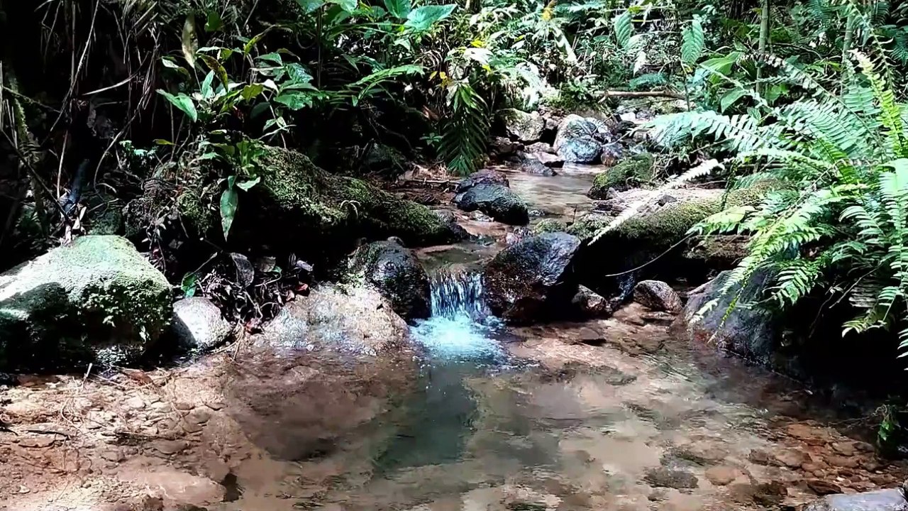 4K THE SOUND OF WATER FLOWING CLEAR AND QUIET EXCELLENT FOR THERAPY AND RELAXATION OF MIND