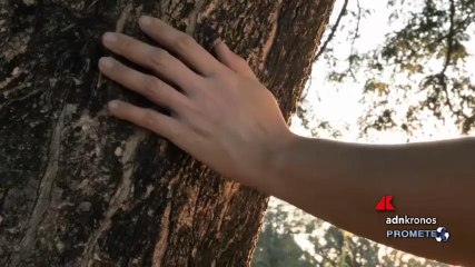 Rapporto Eco Media, l’informazione green fa ancora fatica