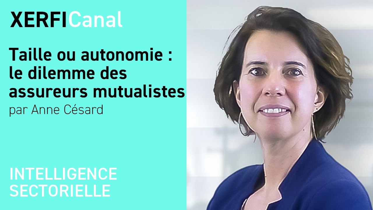 Taille ou autonomie : le dilemme des assureurs mutualistes [Anne Césard]