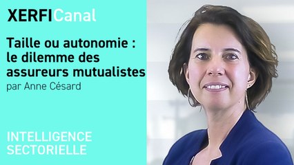 Taille ou autonomie : le dilemme des assureurs mutualistes [Anne Césard]