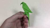 Comment faire un perroquet à partir de papier. Perroquet origami