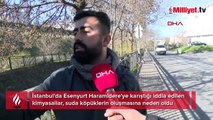 İstanbul'da 'köpüklü dere' isyanı! 'Çok kötü bir koku'