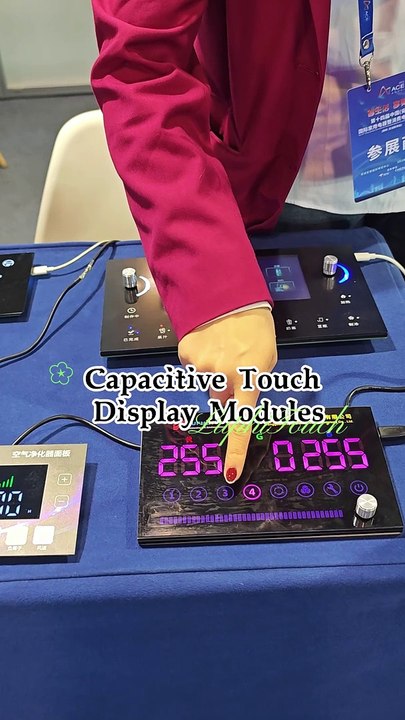 Capacitive Touch Display Modules