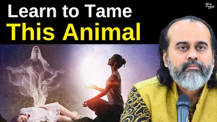 Learn to tame this animal || Acharya Prashant (2021)