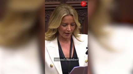 Michelle Mone: inside the extraordinary rise and catastrophic fall of the 'lying baroness'