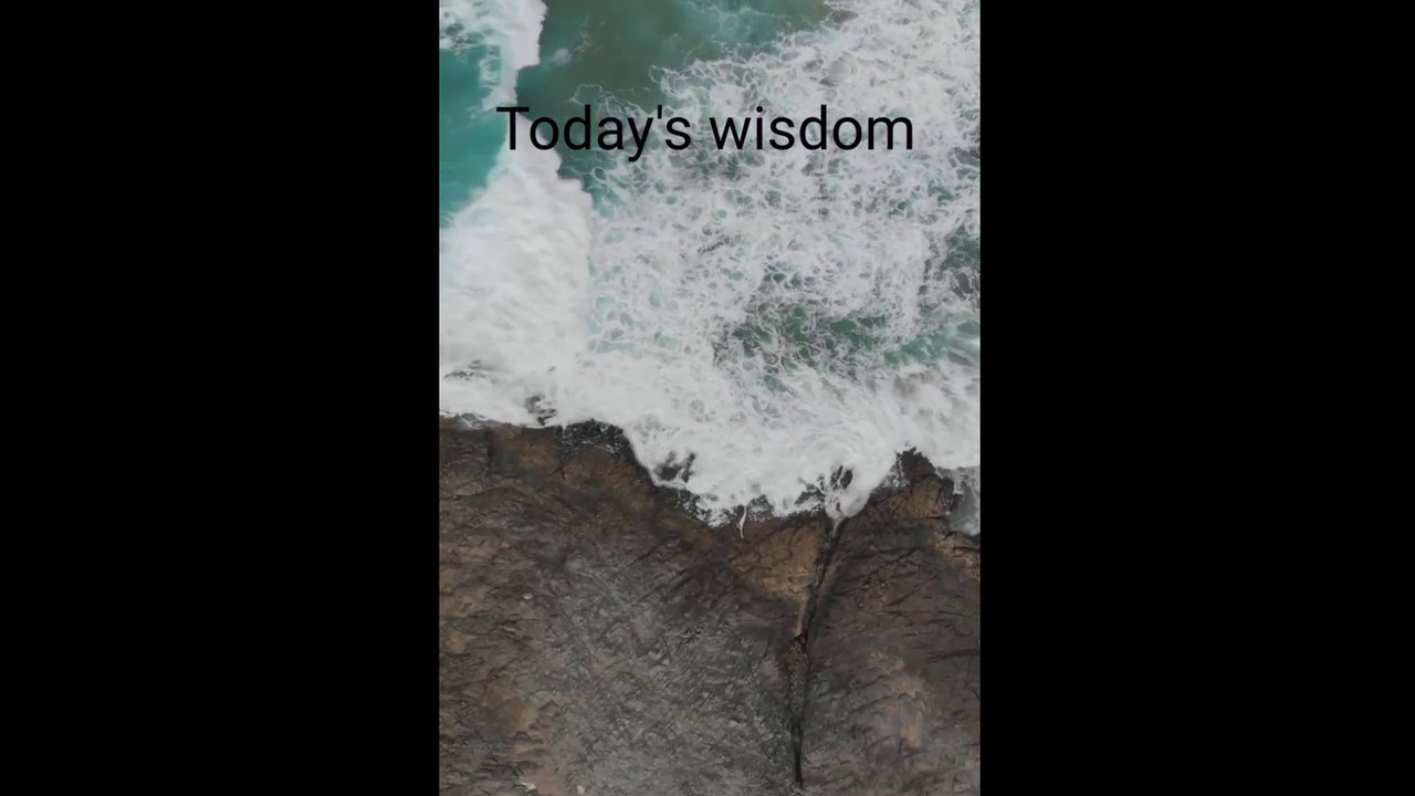 "Today's wisdom"