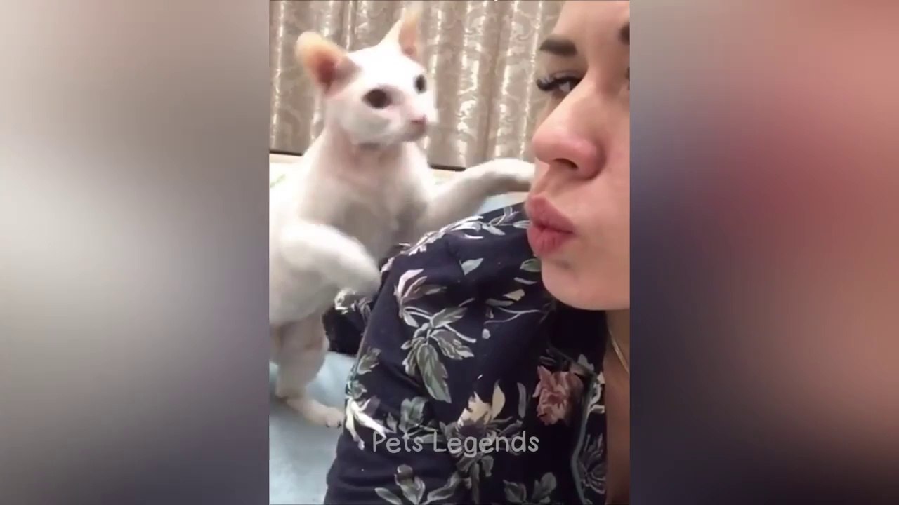 Funny..1videos