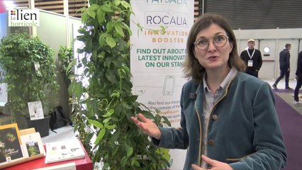 ICO, solution de végétalisation du bâti des pépinières Javoy